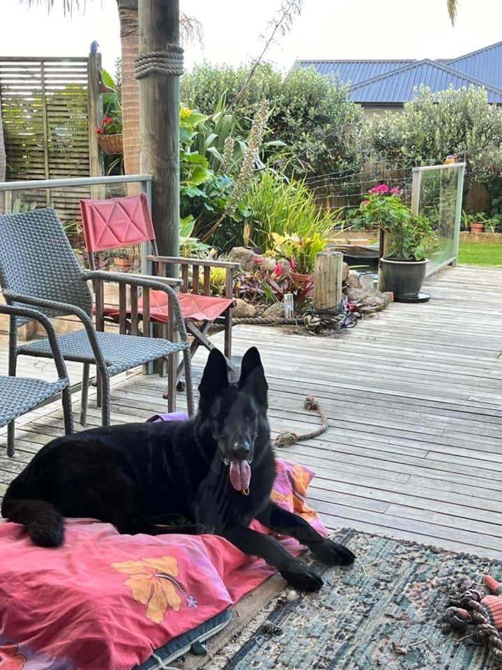 U Beauty - B & B Whangarei Εξωτερικό φωτογραφία